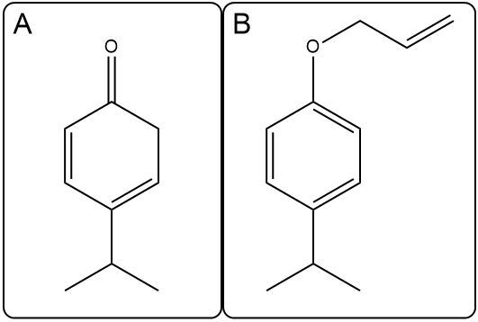 Another set of structures A and B for the Claisen rearrangement, illustrating variations.