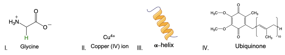 Image showing glycine, copper ion, alpha-helix, and ubiquinone for peptide classification.