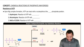 Chemical Reactions of Phosphate Anhydrides Concept 3