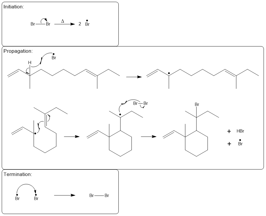 Detailed mechanism of allylic bromination with initiation, propagation, and termination steps.