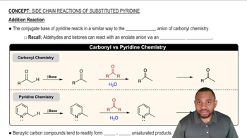 Side-Chain Reactions of Substituted Pyridines Concept 3