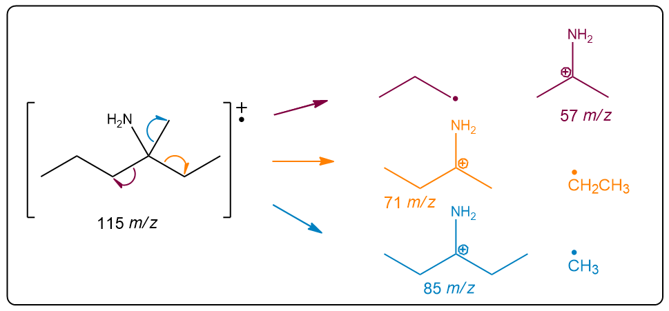 Mass spectrum showing fragmentation pathways of 3-methylhexan-3-amine with m/z values.