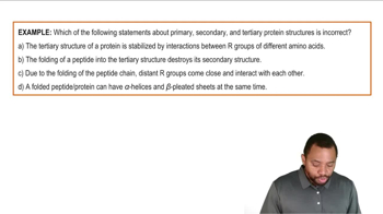 Tertiary Protein Structure Example 1