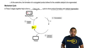 Cross-Coupling Reaction Mechanisms