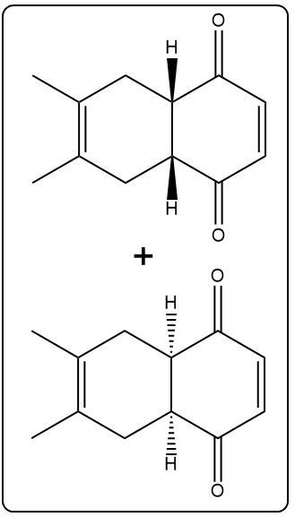 Answer Option B