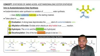 Synthesis of Amino Acids: Acetamidomalonic Ester Synthesis Concept 1