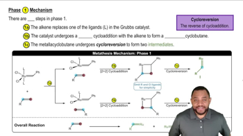 Alkene Metathesis Concept 4