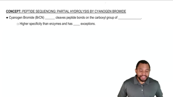 Peptide Sequencing: Partial Hydrolysis with Cyanogen Bromide Concept 1