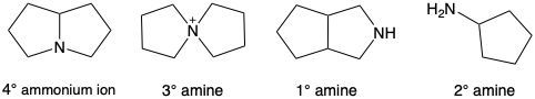 Illustration of amines labeled as 4° ammonium ion, 3° amine, 1° amine, and 2° amine.