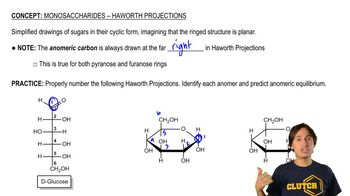 Monosaccharides - Haworth Projections