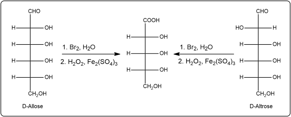 Oxidation of D-Allose and D-Altrose with Br2 and H2O yielding D-Ribose.