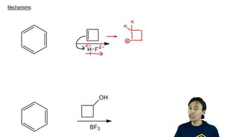 Any Carbocation