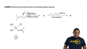 Cross-Coupling Reaction Mechanisms Example 2