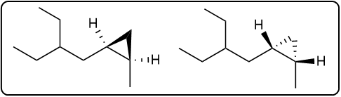 Illustration of carbene addition products with stereochemistry indicated.