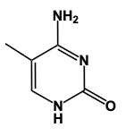 nitrogenouse base structure