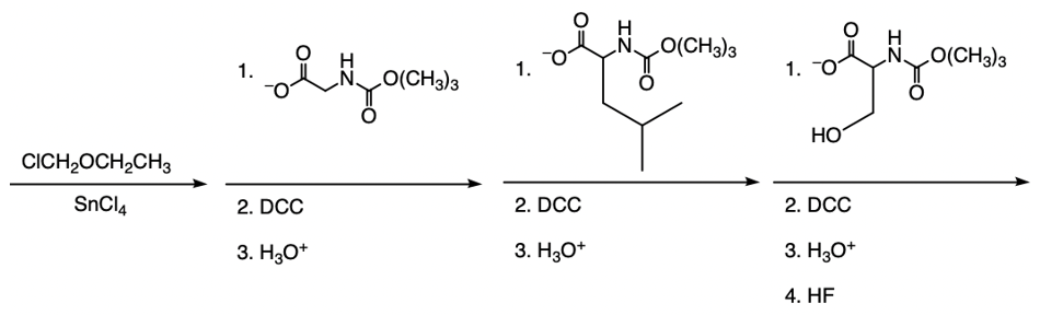 Steps in Merrifield synthesis for tripeptide Gly-Leu-Ser.