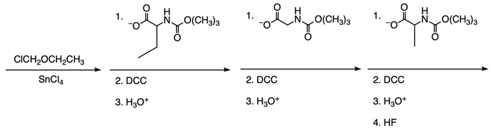 Merrifield synthesis steps for Gly-Leu-Ser tripeptide formation.