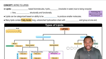 Intro to Lipids Concept 1