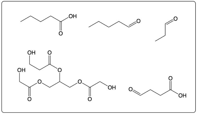 Final products of ozonolysis with hydroxyl groups shown as chemical structures in organic chemistry.