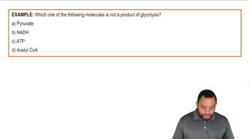 Intro to Glycolysis Example 1