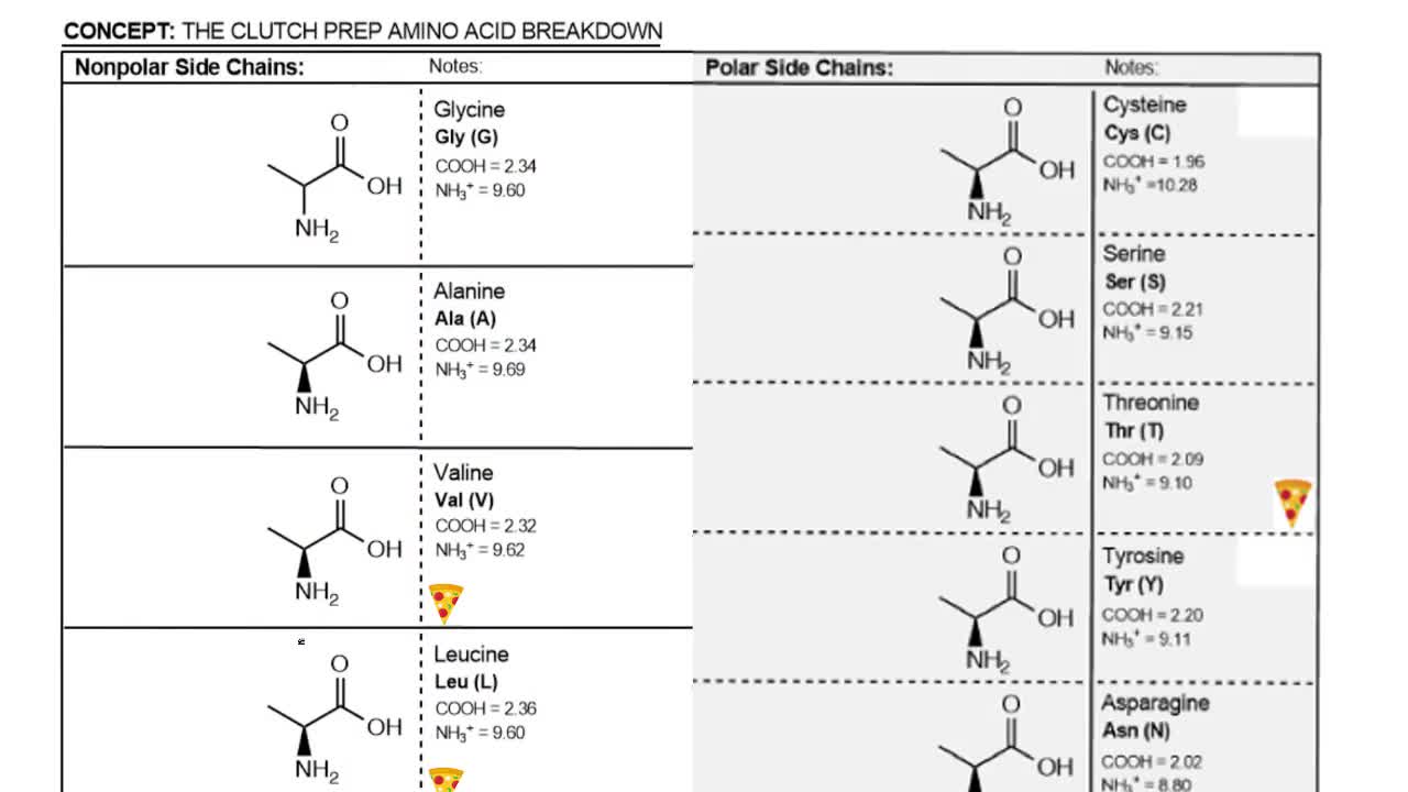 Nonpolar Amino Acids