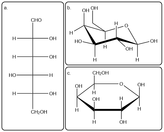 Chair conformation of β-pyranose anomer of D-galactose.