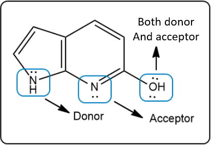 Illustration indicating both donor and acceptor in a molecular structure.