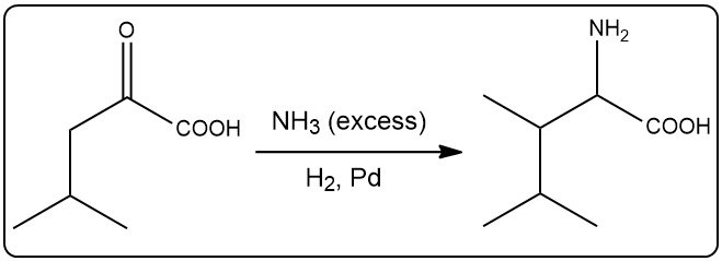 Amino acid synthesis using excess NH3 and H2, Pd catalyst.