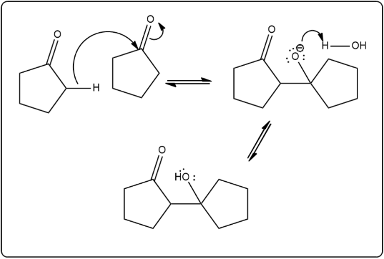 Aldol condensation mechanism of cyclopentanone with equilibrium arrows.