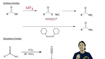 Synthesis of Amides