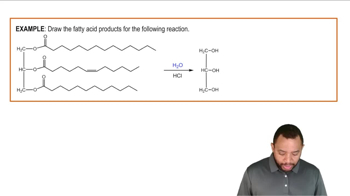 Triacylglycerol Reactions: Hydrolysis Example 2