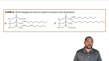 Triacylglycerols Example 2