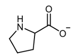 amino acid molecular structure