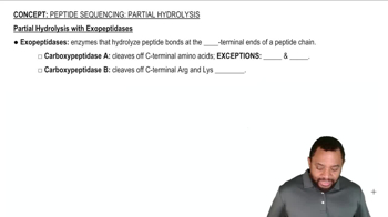 Peptide Sequencing: Partial Hydrolysis Concept 3