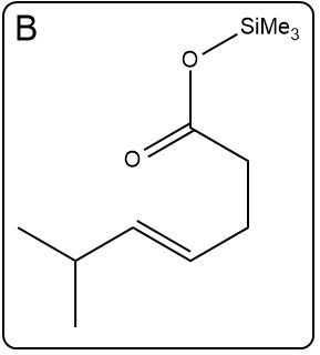 Final representation of structure B in the Ireland-Claisen reaction.