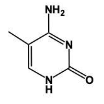 nitrogenouse base structure