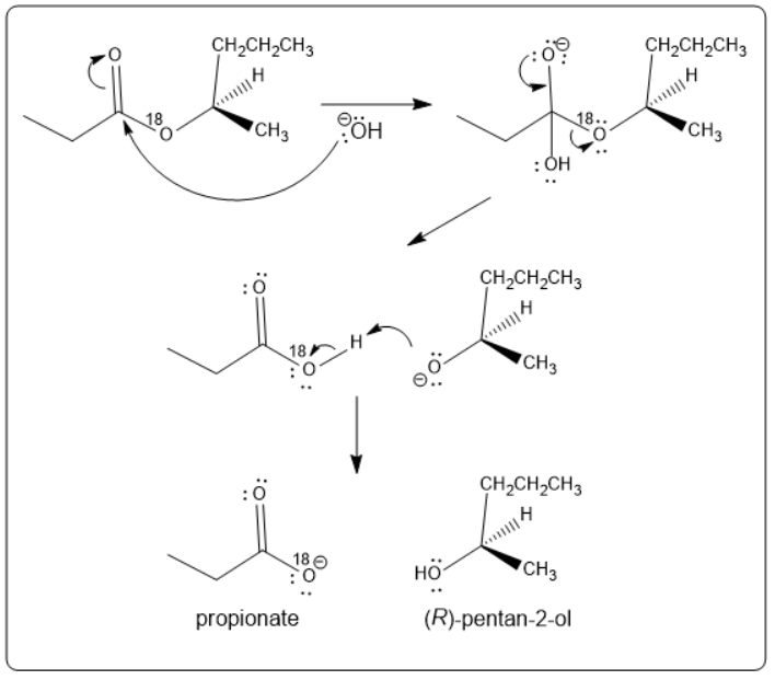 Mechanism of base-catalyzed hydrolysis of (R)-pentan-2-yl propionate showing stereochemistry and oxygen-18 labeling.