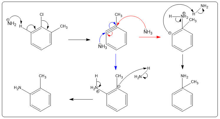 Mechanism of nucleophilic aromatic substitution of 1-chloro-2-methylbenzene with sodium amide.