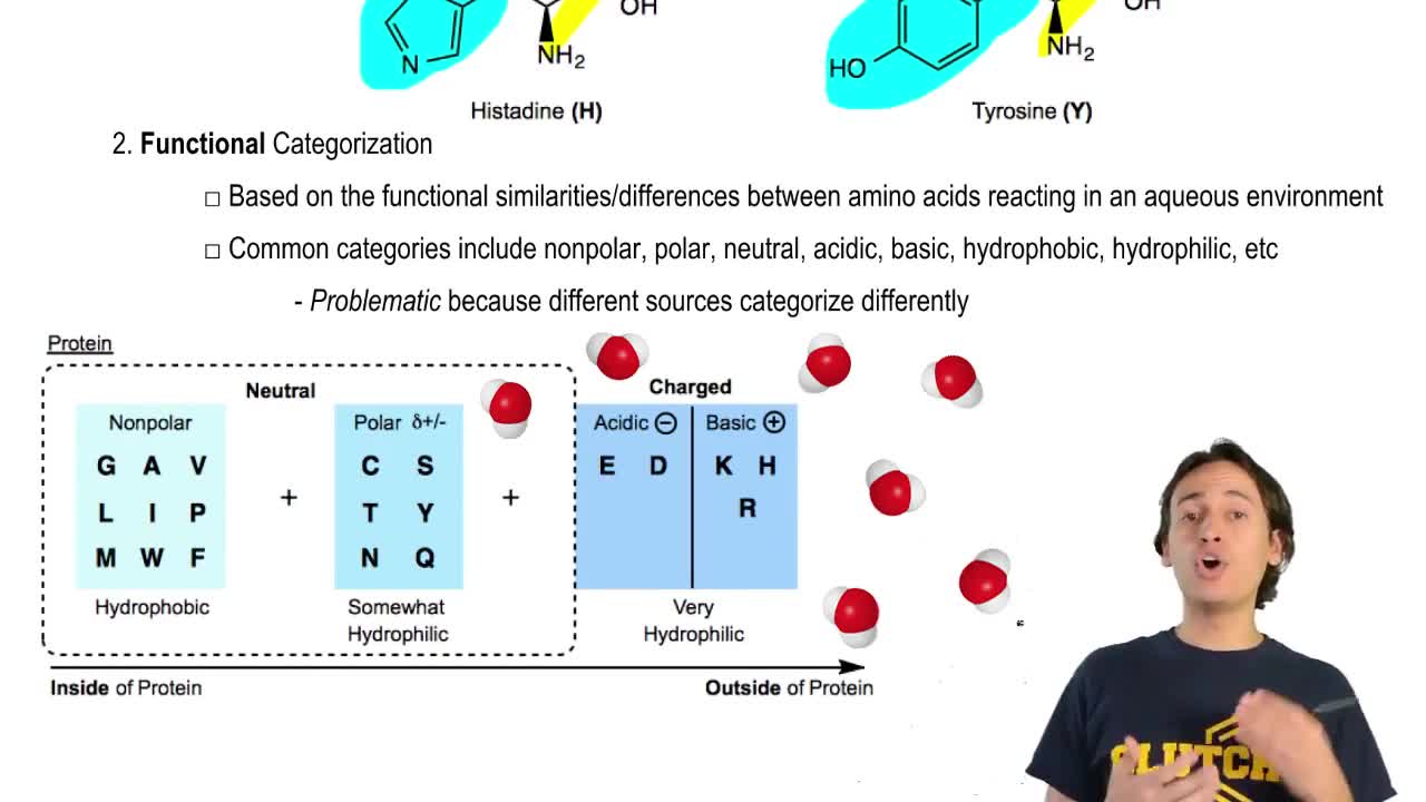 Functional Classification