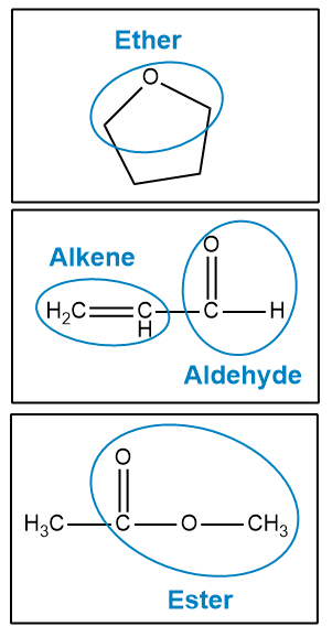 Three organic structures labeled: Ether, Alkene, and Aldehyde with functional groups circled.