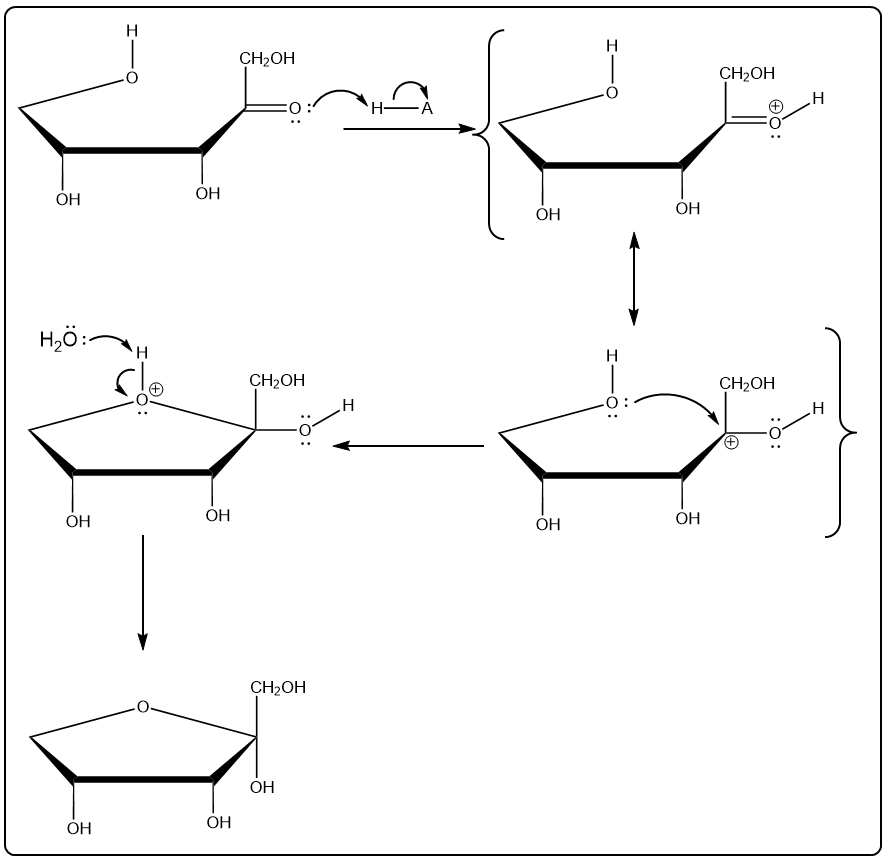 Visual representation of ribulose cyclization mechanism, emphasizing acid's role in forming cyclic hemiacetal.