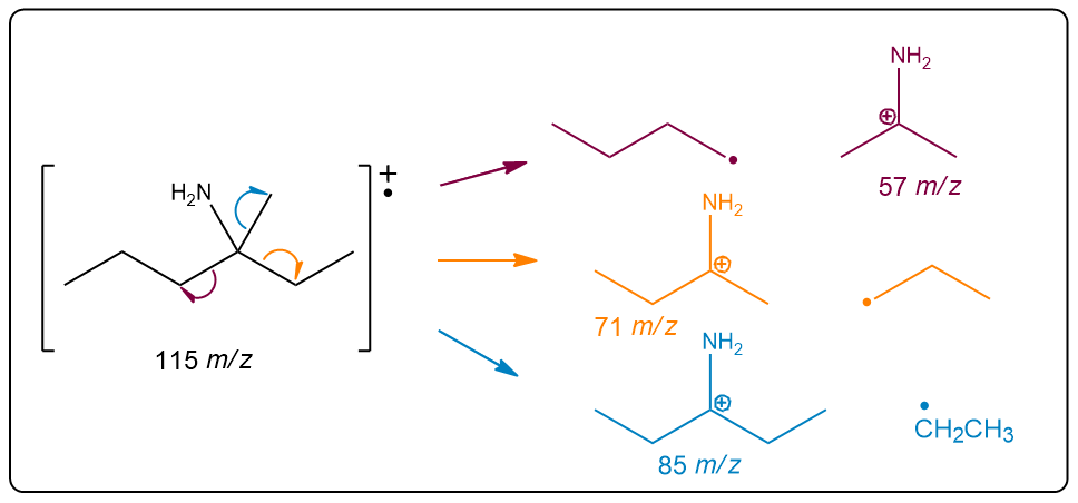 Mass spectrum showing fragmentation pathways of 3-methylhexan-3-amine with m/z values.