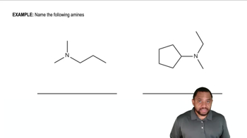 Naming Secondary and Tertiary Amines