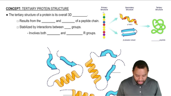 Tertiary Protein Structure Concept 1