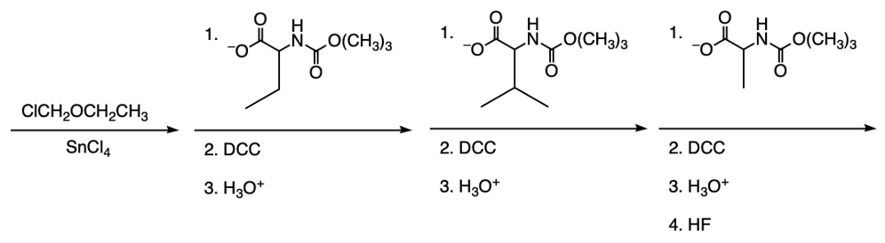 Synthetic pathway for Gly-Leu-Ser tripeptide using Merrifield synthesis.