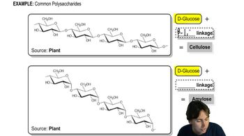 Polysaccharide