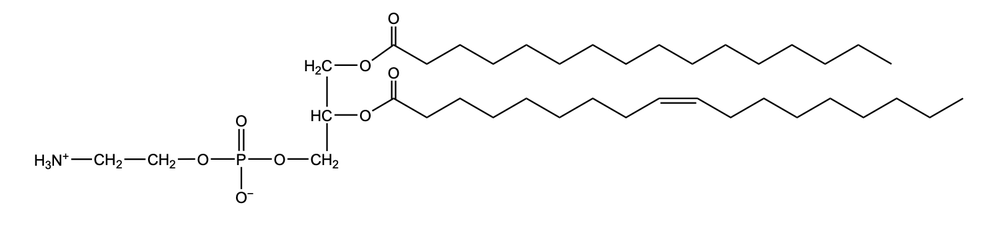 Phosphoglyceride