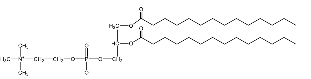 glycerophospholipid