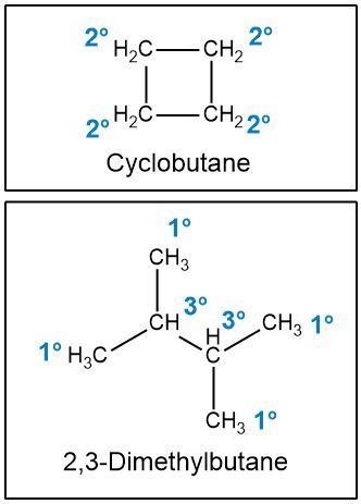 Cyclobutane structure with hydrogen atoms marked as secondary (2°).