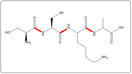 Structure of tetrapeptide Ser-Cys-Met-Asp with peptide bonds highlighted in red.